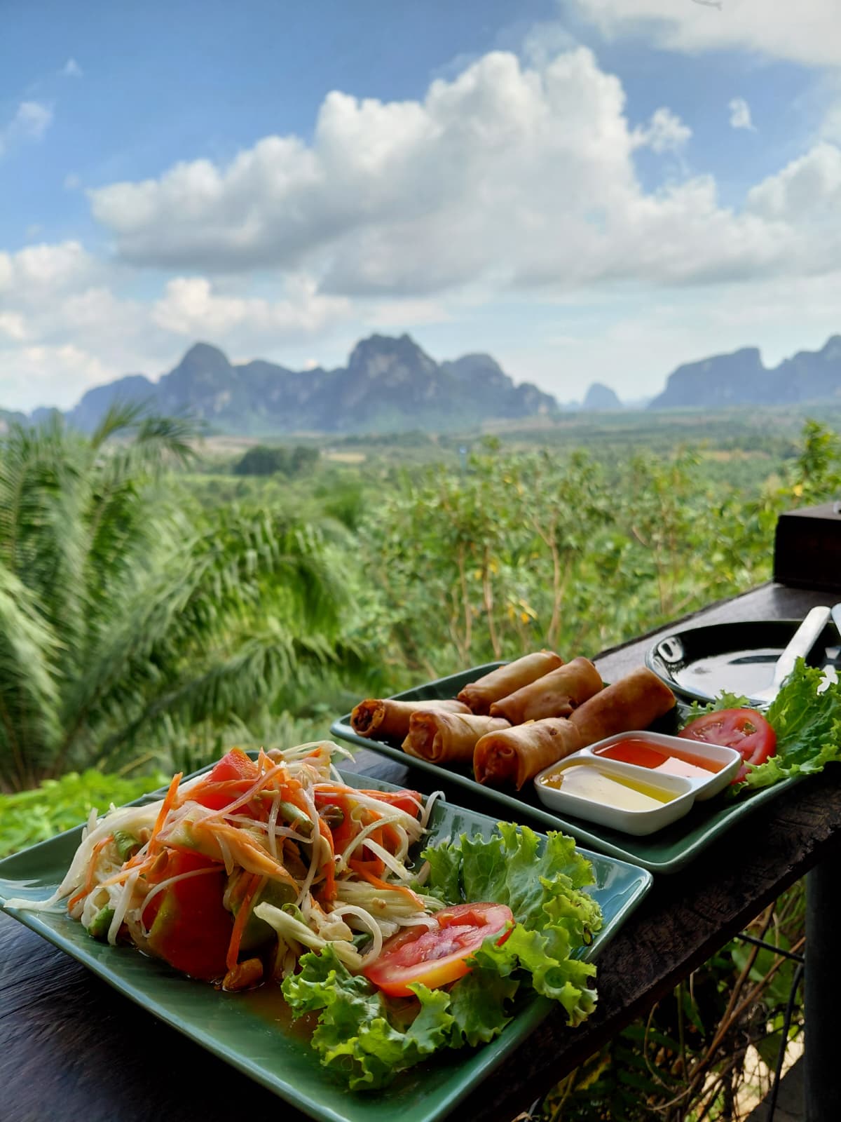 Thai papaya salad and spring rolls with mountain view