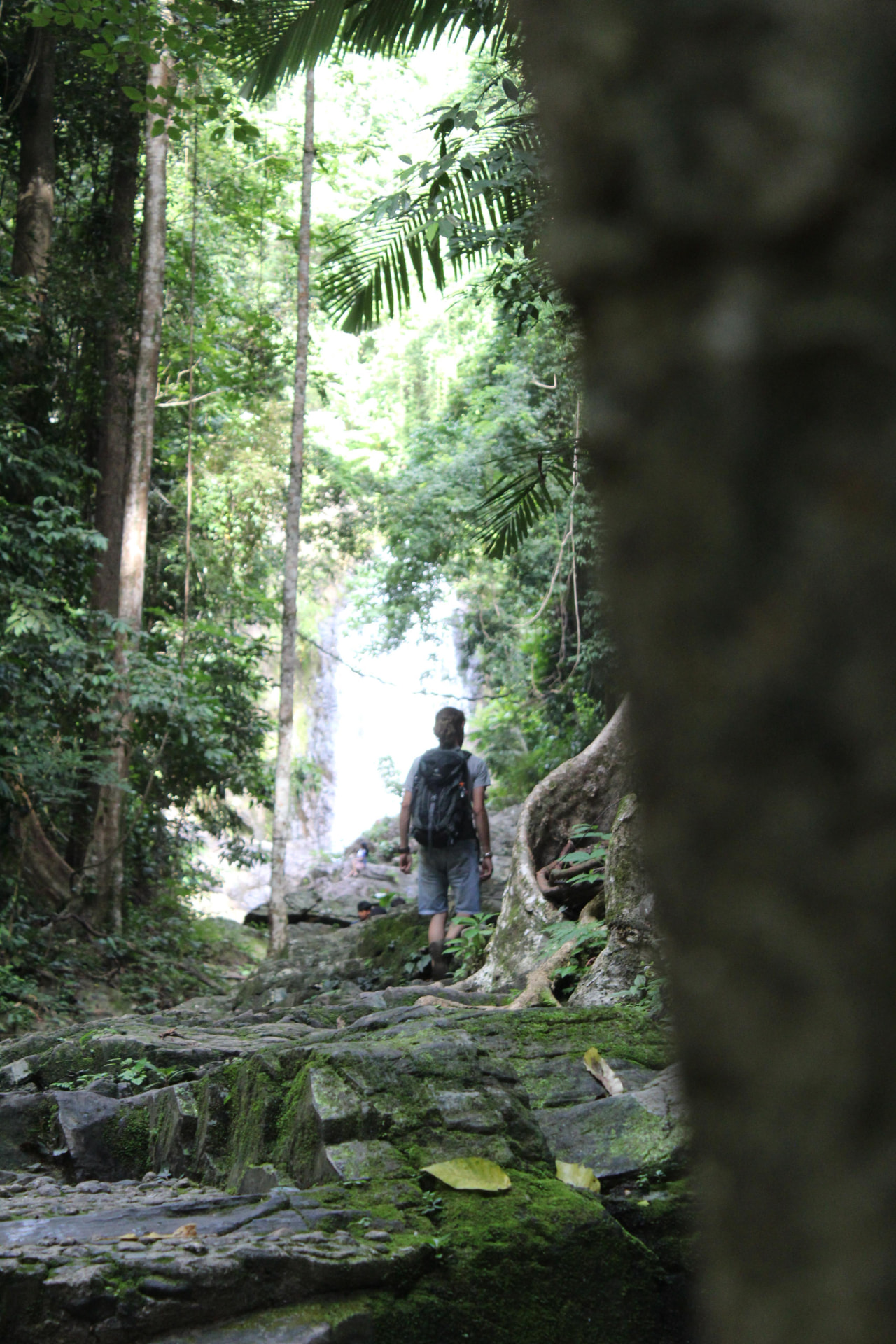 WILD KRABI