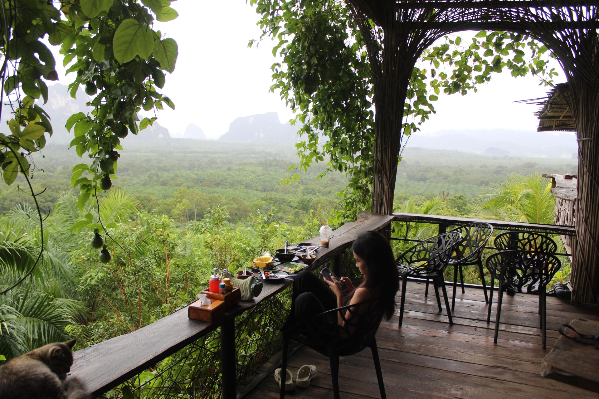 Treehouse cafe with panoramic mountain views