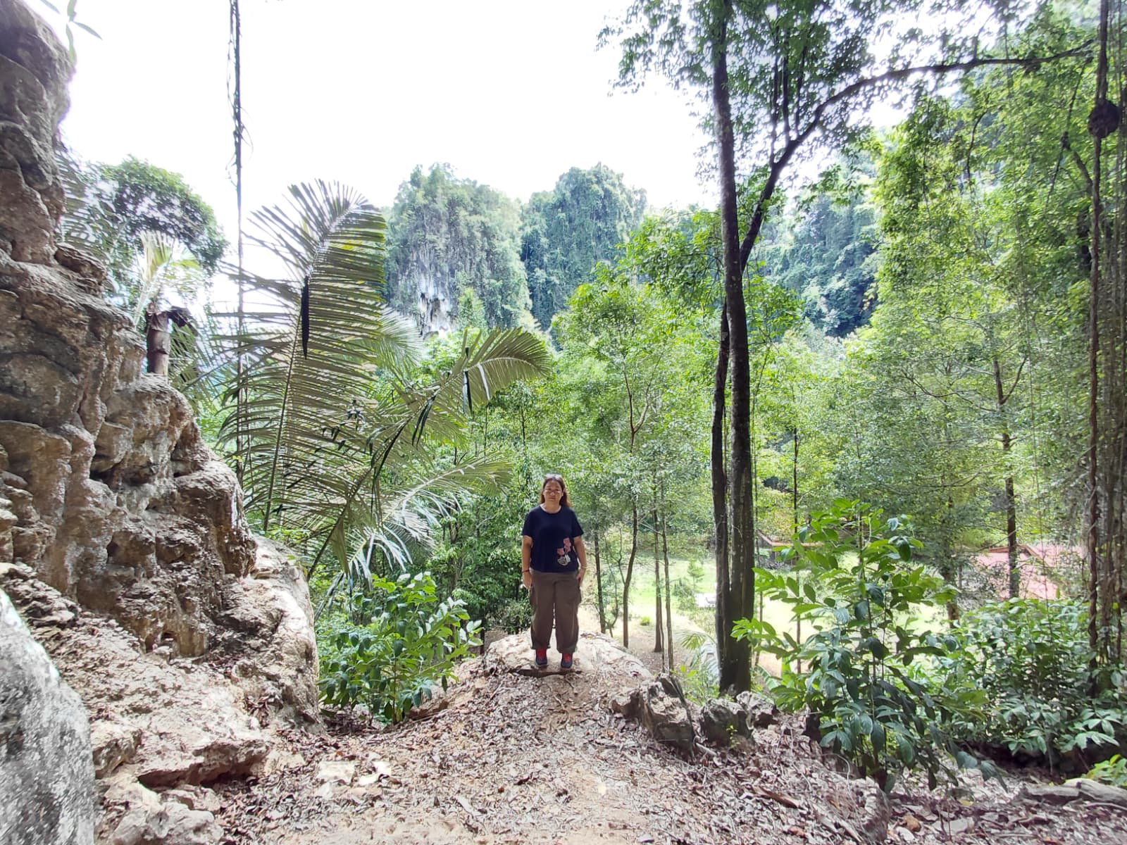 Trekking through the Krabi jungle