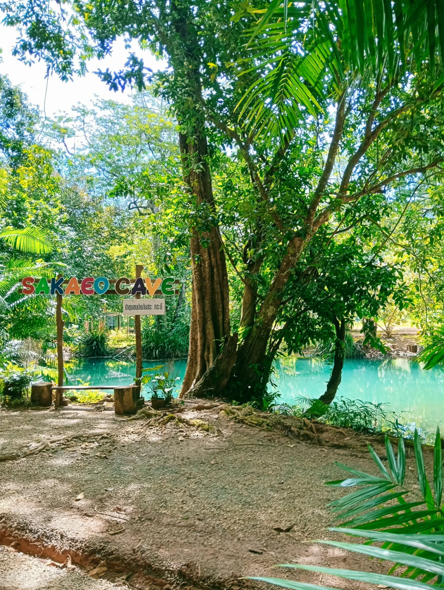 WILD KRABI