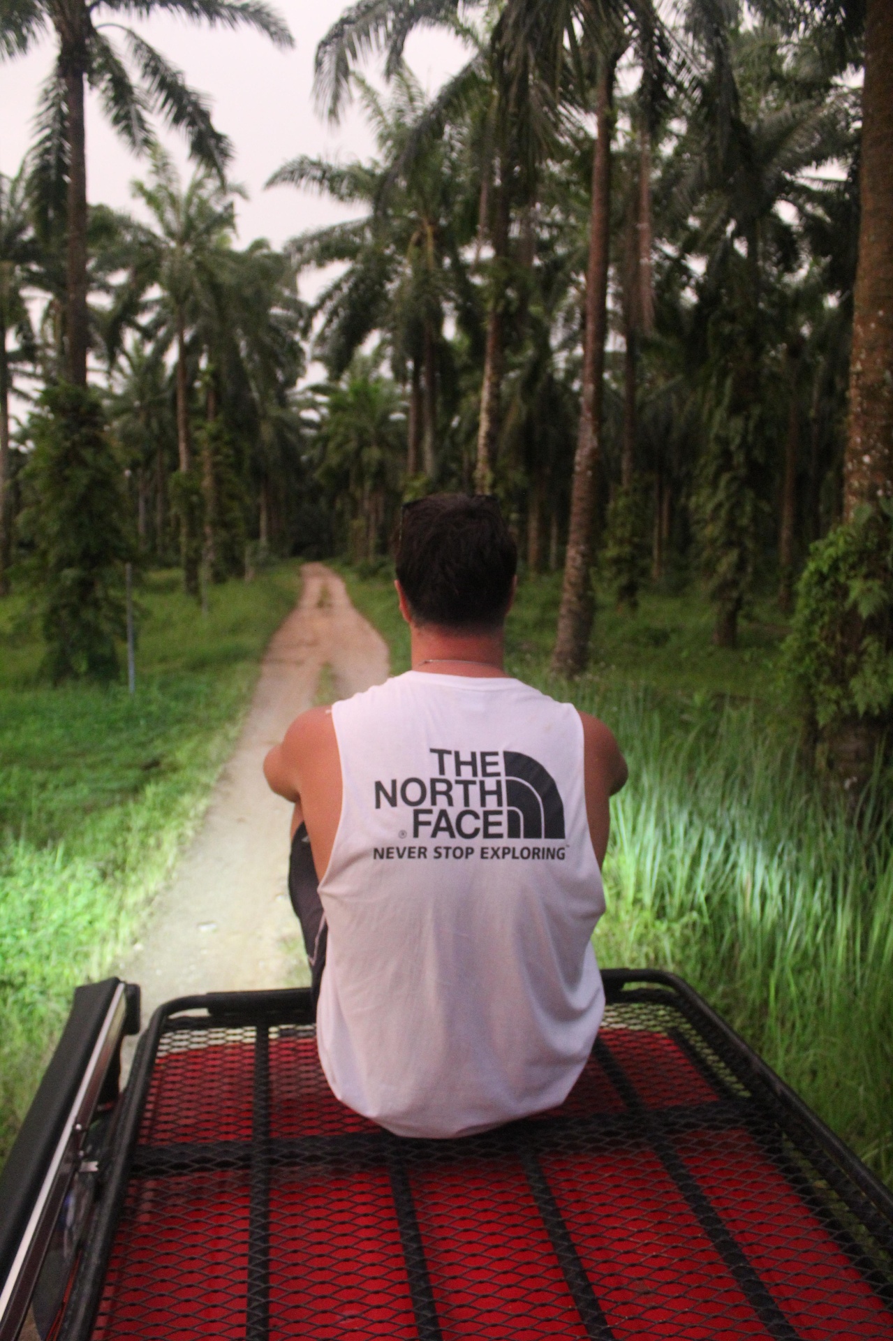 Riding through palm plantation on the 4x4